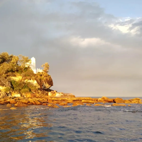 A HABIT FOR A VISION