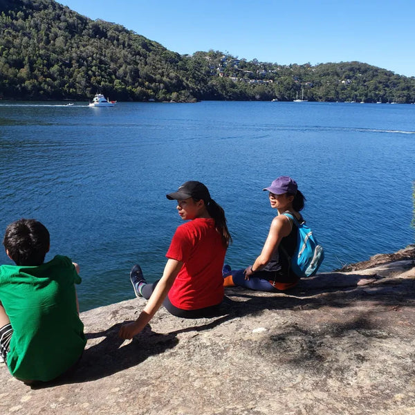 WHOLLY SHRINK! WE’VE GOT AN IDEA