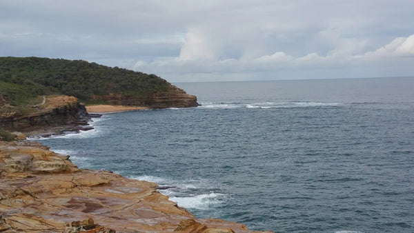 Let’s save the planet!